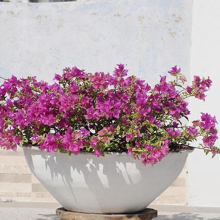 Hotel Casa Cytia Cartagena エクステリア 写真