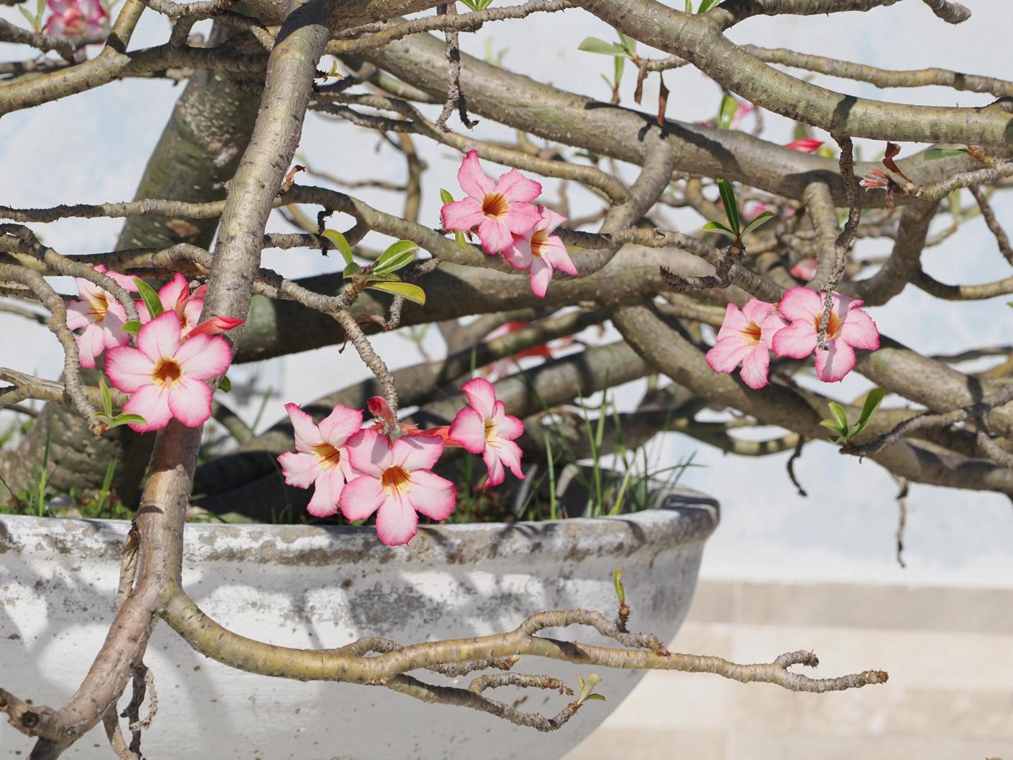 Hotel Casa Cytia Cartagena エクステリア 写真
