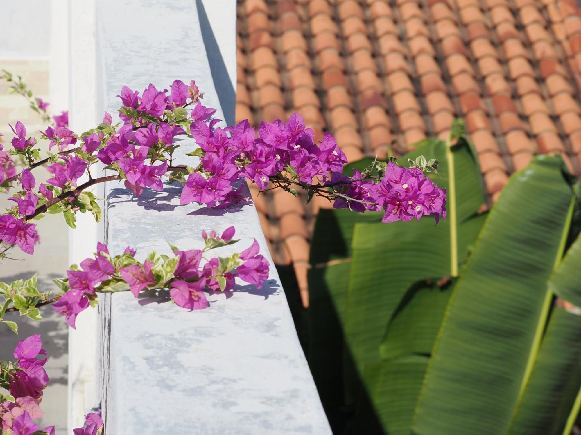 Hotel Casa Cytia Cartagena エクステリア 写真