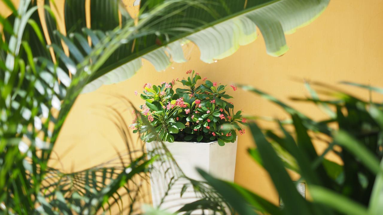 Hotel Casa Cytia Cartagena エクステリア 写真